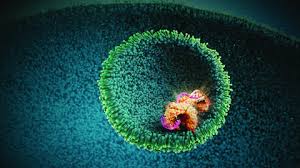 Its pipeline are used for the following therapy areas: Astrazeneca Germany