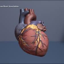 So far, the cdc has identified 226 reports that might meet the agency's working case definition of myocarditis. Cdc Investigating Rare Myocarditis In Teens Young Adults Covid 19 Vaccine Still Advised For All Who Are Eligible American Heart Association