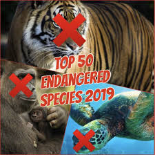 Top 50 Endangered Species Of 2019 Solutions And Ideas On How To Save Them Mad Meaning Tiger Species Endangered Species Critically Endangered Species