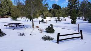 The day use hours are from 9:30am to. Check Out The County Of San Diego Parks And Recreation Facebook