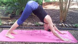 In this pose, we can imagine how the space between each rib grows. Deconstructing Downward Dog Make The Most Of A Fundamental Pose Breaking Muscle