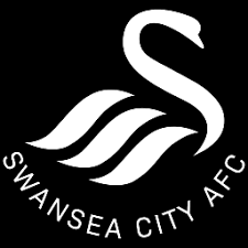 They also competed in the fa cup and efl cup. Swansea City Fifa Mobile 21 Fifplay