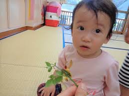 キアゲハの赤ちゃんがやって来た！