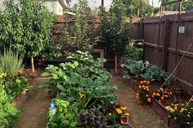George and grace matsuoka, gary's deceased parents, were the founders of the business. The 3 Best Plant Nurseries In Santa Ana