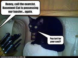 Ceiling Cat Is Black Basement Cat Funny Cat Pictures Funny Cat Captions