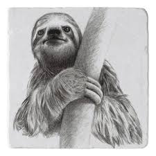 Illustrated Sloth Trivet Zazzle Com Sloth Drawing Sloth Art Sloth Tattoo