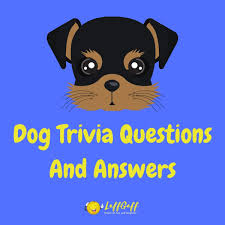 Here are some sports trivia questions and answers about specific sports: 20 Fun Free Dog Trivia Questions And Answers Laffgaff