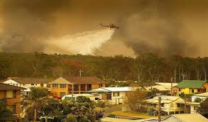 Check spelling or type a new query. Por Que Ocurrio La Impactante Temporada De Incendios Forestales En Australia
