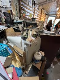 Business of the Month: Casey Rubber Stamp, 322 East 11th Street