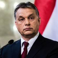 Zoltan Simon's Profile