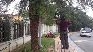 Check spelling or type a new query. Trim Pokok Pon Khidmat Potong Pokok Shah Alam Klang Facebook