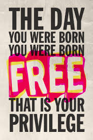 Incubus Lyrics The Day You Were Born You Were Born Free That Is Your Privilege Incubus Lyrics Words Music Quotes