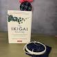 Finding Balance: Book & Art - The Ikigai Journey event image