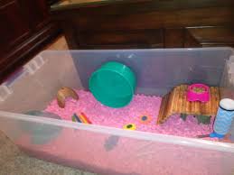 Hamsters like to burrow, so choose a hamster habitat that has a plastic bin bottom you your hamster needs a cage size that is at least 15 inches long and 12 inches tall. Hi Everyone Opinions Advice On My Hamster S Cage Shes A Dwarf Living In A 110 Qt Bin Thanks In Advance Https Hamster Bin Cage Hamster Cage Hamster Cages
