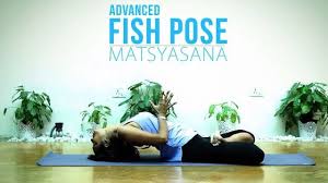 Fish Pose Fish Pose Fish Pose Yoga Lotus Pose Yoga