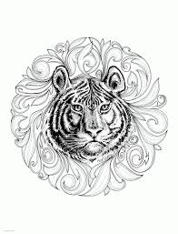 From the beach to desert, from the circus to the sea, from jungle to zoo, from india to mexico, from american rainforest to. Animal Coloring Pages For Adults Realistic Tiger Coloring Pages Printable Com