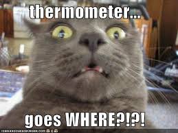 Your respiratory rate, often referred to as your breathing rate, is the number of breaths you take per minute. Vitals Temperature Pulse Respiration Tpr Hillcrest Animal Hospital