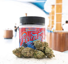 Breeders designed this powerhouse strain to produce massive amounts of thc, a tasty terpene profile, and a rewarding yield. Hawaiian Runtz The Lotus Dispensary