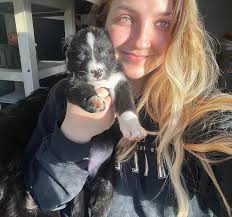 Hello from our 12 year old BC, Sweetie.