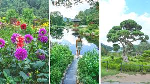 Get daily travel tips & deals! How To Visit The Garden Of Morning Calm Perfect Daytrip From Seoul South Korea