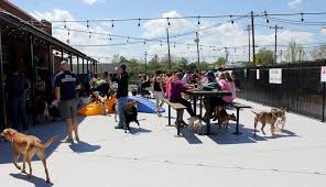 14449 hwy 73 prairieville, la 70769. Lucky Dog Bark Brew Charlotte Charlottes Got A Lot