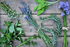 In general use, herbs are a widely distributed and widespread group of plants, excluding vegetables and other plants consumed for macronutrients, with savory or aromatic properties that are used for flavoring and garnishing food, for medicinal purposes, or for fragrances. 13 Culinary And Medicinal Herbs To Grow At Home The House Homestead