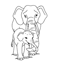 Één van een lieveheersbeestje één puzzel van een schildpad en een puzzel van een slak. Olifant Schattige Baby Dieren Kleurplaten Coloring And Drawing