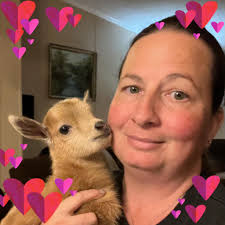 Does anyone do goat kid disbudding or know someone who does in Ocala?