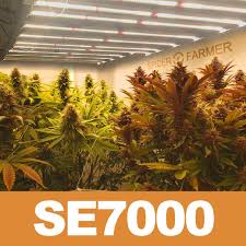 Spider farmer sf 4000 led grow light review. Spider Farmer Lamps Manufacturer Cannabis Lighting Brand Information Growdiaries