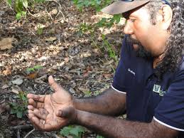 Pudakul Aboriginal Cultural Tours (2025)