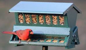Birds are beneficial for your garden. Cardinal Bird House And How To Attract Cardinals Complete