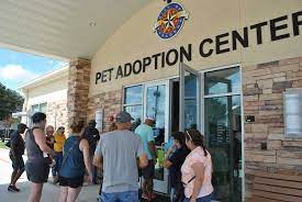 Adoptions are now by appointment only. Pasadena Shelter Breaks Record For Pet Adoptions