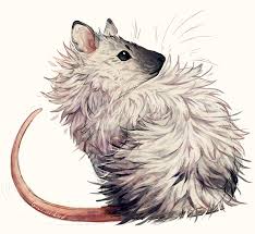 Giulialibard Animali Disegno Animale Animali Fantastici
