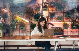 But don't be misled by this initial cost, they may be cheap, but they were meant for indoor planting. 7 Best Grow Lights For Indoor Plants 2021 Led Fluorescent