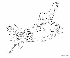Click any coloring page to see a larger version and download it. Get This Bird Coloring Pages Kids Printable 26481