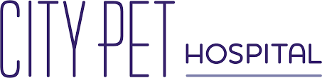 Educate clients about preventative care, pet health needs, any diagnosis or treatment, hospital services and other related information. Megan Lombard City Pet Hospital