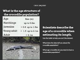 Saltwater Crocs Resourceful Or A Resource Digital