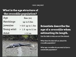 saltwater crocs resourceful or a resource digital