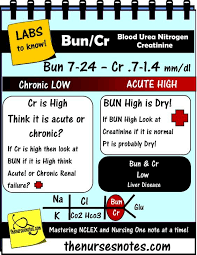 Nursing Kamp The Nurses Notes On Nursing Nursing Labs Nursing Notes Nursing Mnemonics