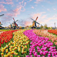 6 Tempat Wisata Di Belanda Yang Wajib Dikunjungi Unik Dan Indah Hot Liputan6 Com