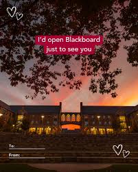 the perfect Valentine's Day cards don't exi… oh wait ❤️ #ValentinesDay  #ValentinesCard #College #SacredHeartUniversity
