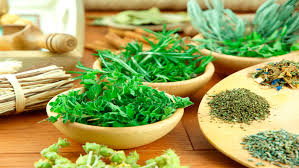 Remedios Caseros Para Acabar Con Parasitos Y Lombrices