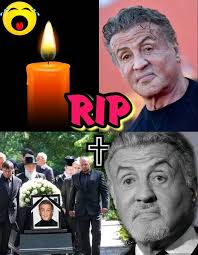 We love actor Sylvester Stallone 💙❤️ #BOOMchallenge