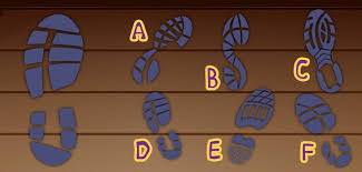 The mystery machine trivia question: Scooby Doo Mystery Challenge Answers My Neobux Portal