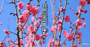 梅まつり | 光市観光協会公式ウェブサイト ツアーガイドひかり