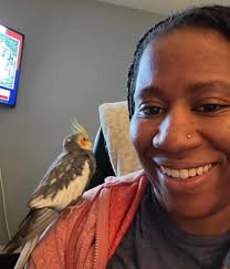 Cockatiels for adoption in Ripley, WV