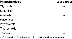 Image result for Rubus steudneri