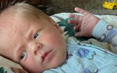 Welcome Hadley Chapman