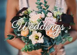 However, they do see yellow and blue, which makes the color of snapdragons attractive to bees as well. Home Simply Flowers By Nicola Lancaster Lancashire