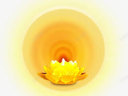 金色莲花灯高清素材佛祖光晕光芒莲花金光in 2021 golden lotus clip art